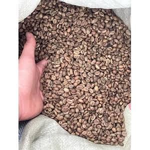 Herbisida Roundmax 1 Liter – Obat Pembasmi Rumput Gulma